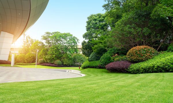 Cost of Commercial Lawn Care in Owensboro