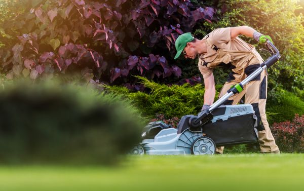 Cost of Lawn Care And Maintenance in Owensboro