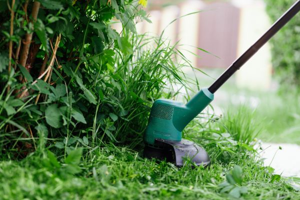 Cost of Weed Whacking in Owensboro