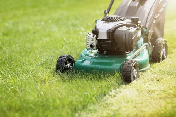 Cost of Yard Cutting in Owensboro