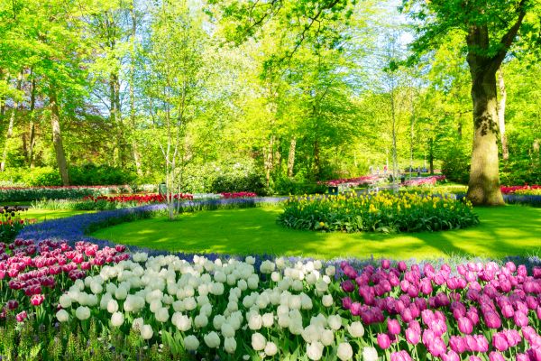 Cost of Spring Lawn Care in Owensboro