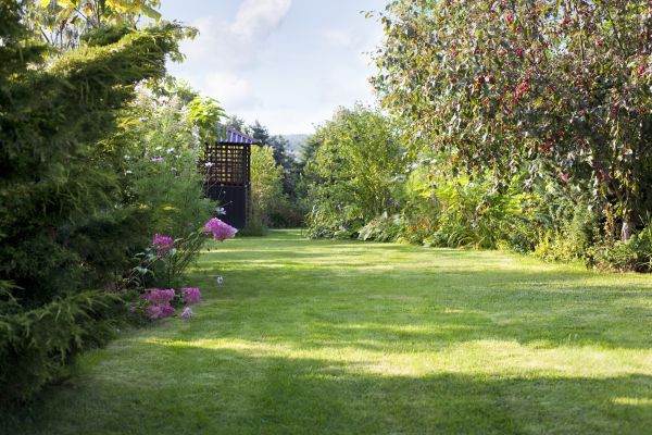 Cost of Yard Upkeep Service in Owensboro
