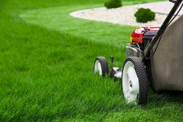 Cost of Lawn Service in Owensboro