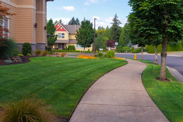 Cost of Home Lawn Maintenance in Owensboro