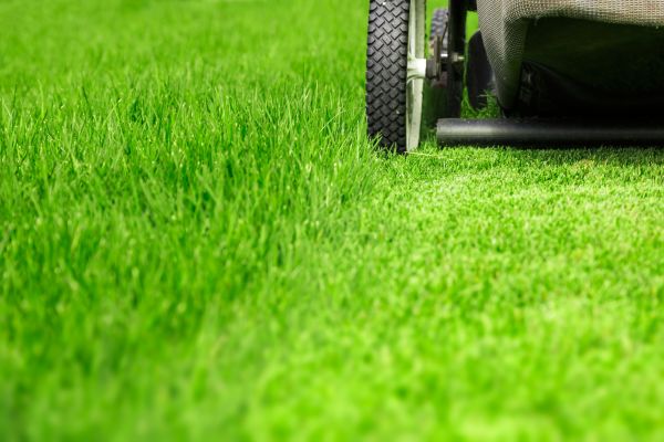 Cost of Weekly Lawn Care in Owensboro
