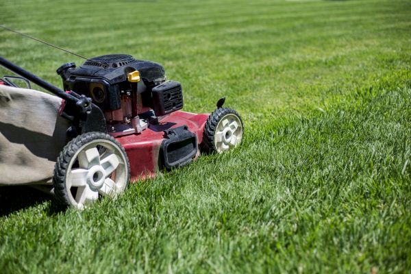 Cost of Routine Lawn Care in Owensboro