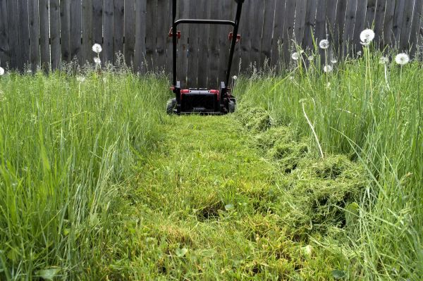 Cost of High Grass Mowing in Owensboro