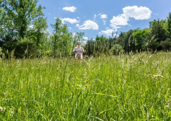 Cost of Long Grass Mowing in Owensboro