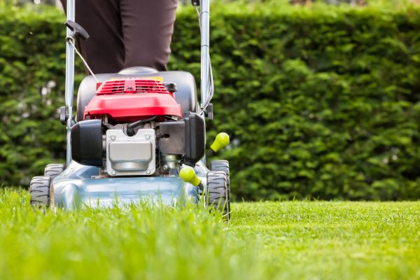 Cost of Grass Trimming Service in Owensboro