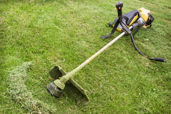 Cost of Hillside Weed Whacking in Owensboro