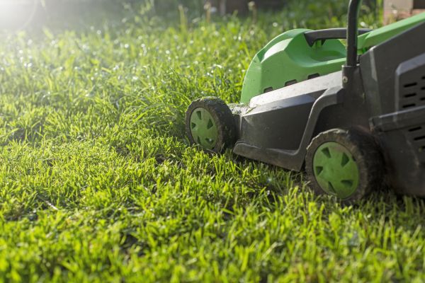 Cost of Yard Trimming in Owensboro