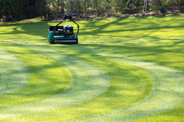 Cost of Business Lawn Mowing in Owensboro