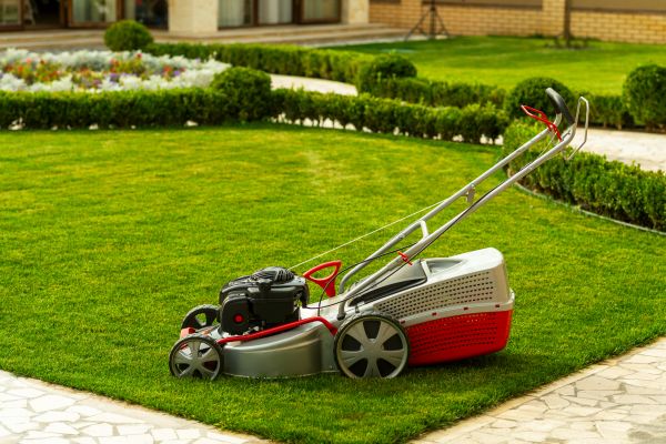 Cost of Business Grass Cutting in Owensboro