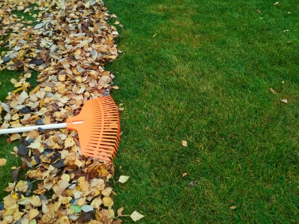 Cost of Fall Lawn Care in Owensboro