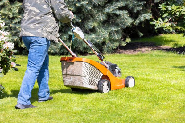 Cost of Springtime Lawn Care in Owensboro