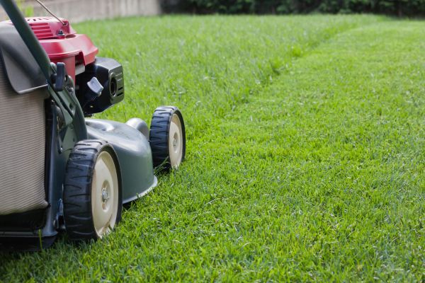 Cost of Spring Lawn Maintenance in Owensboro