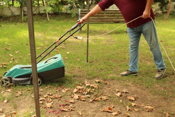 Cost of Leaves Mowing in Owensboro