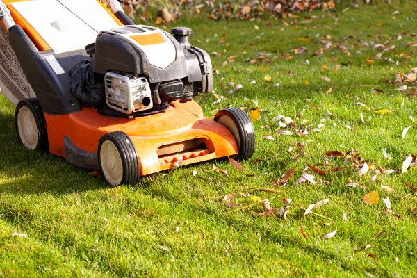 Cost of Fall Mowing in Owensboro