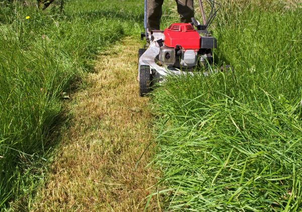 Cost of Leaf Mowing in Owensboro