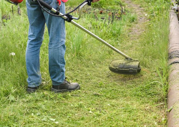 Cost of Tall Grass Trimming in Owensboro