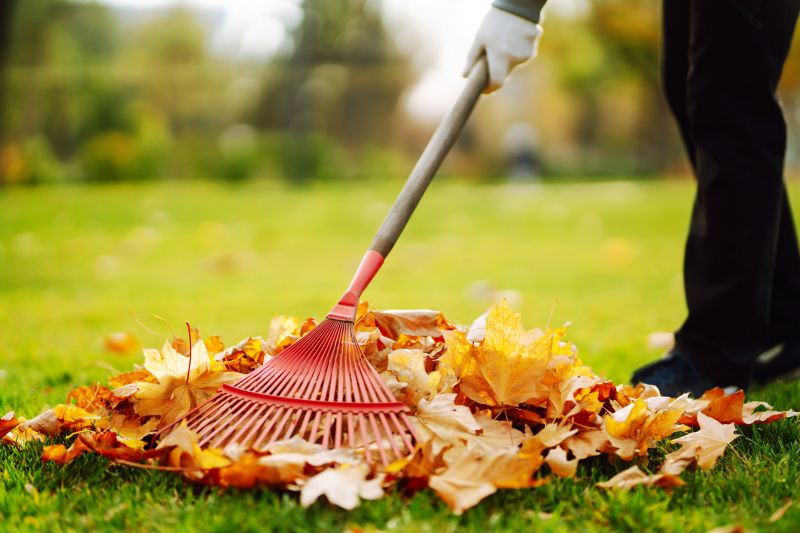 Leaf Raking and Collection