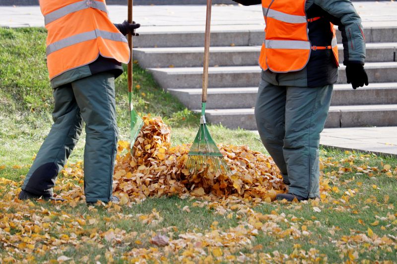 Efficient Leaf Removal