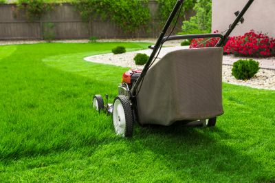 Lawn Cutting Service detail