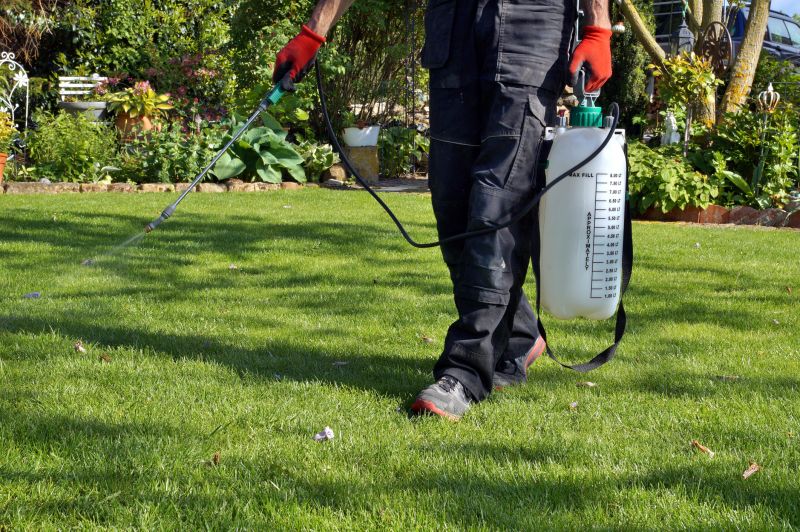 Routine Lawn Care
